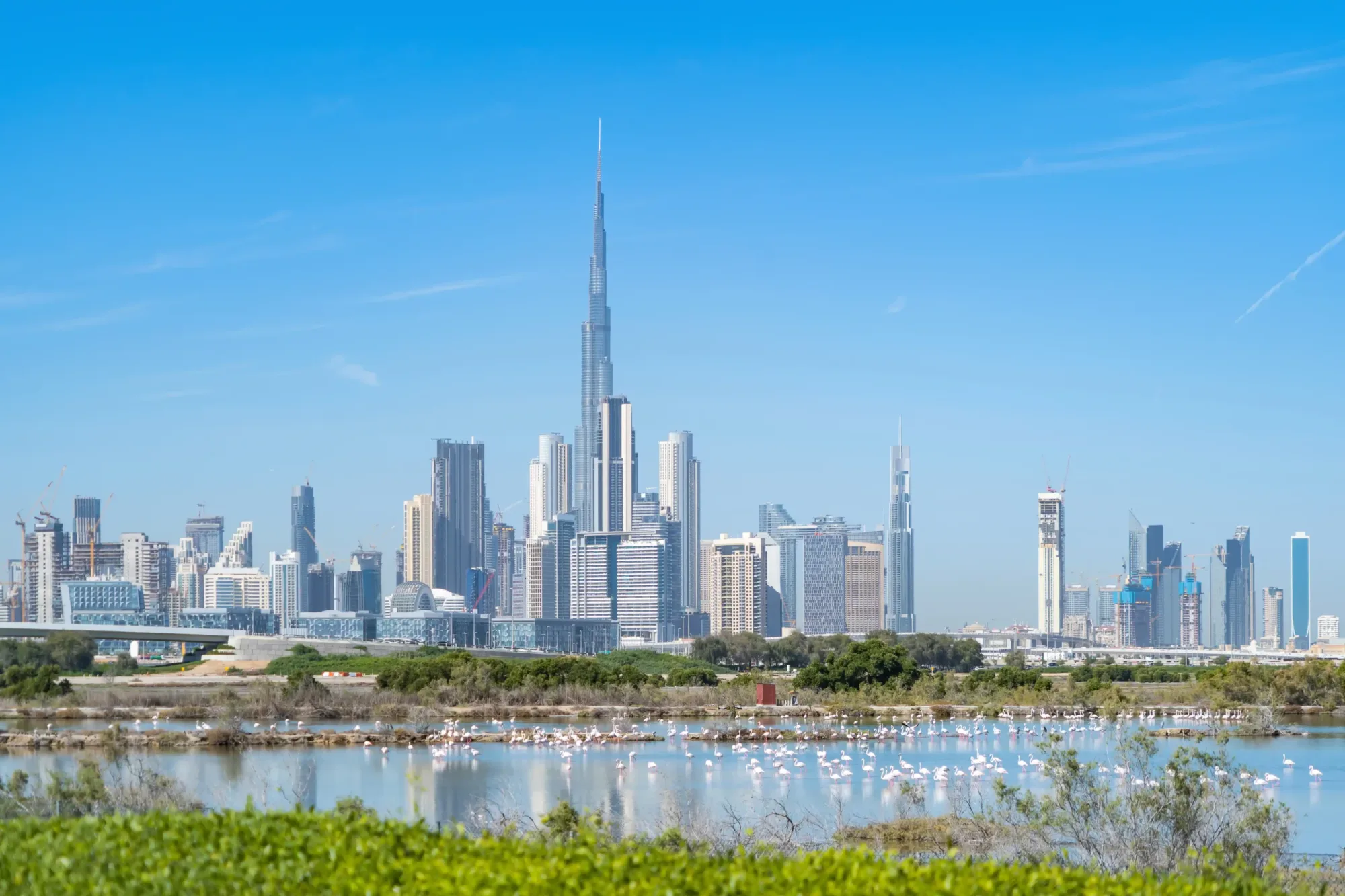 Resident Investors Take Centre Stage as Dubai Enters 2026